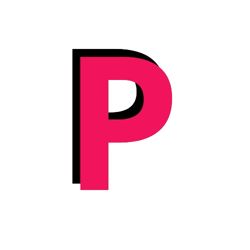 Partnerystės Programos